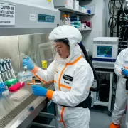 Alerta en la OMS ante una nueva variante de Covid: síntomas y todo lo que tenés que saber