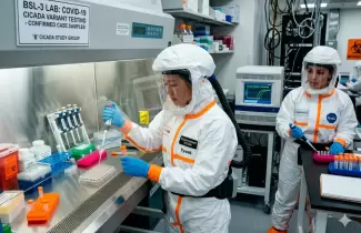 Alerta en la OMS ante una nueva variante de Covid: s�ntomas y todo lo que ten�s que saber