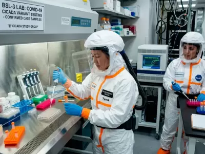 Alerta en la OMS ante una nueva variante de Covid: s�ntomas y todo lo que ten�s que saber
