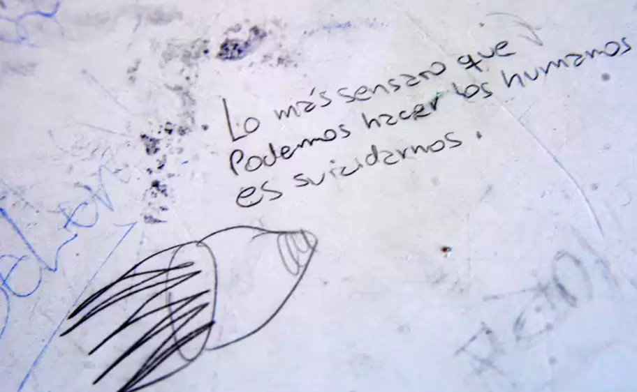 "Lo más sensato que podemos hacer los humanos es suicidarnos", frase escrita en el banco escolar de Juniors