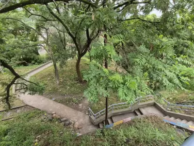 obras escaleras