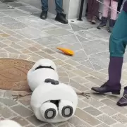 "Murió Olaf": el avanzado robot de Disney que perdió la nariz y colapsó