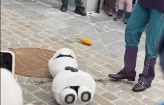 "Muri� Olaf": el avanzado robot de Disney que perdi� la nariz y colaps�