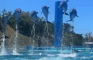 aqurium
