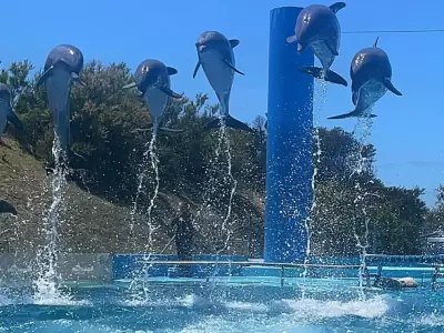 aqurium