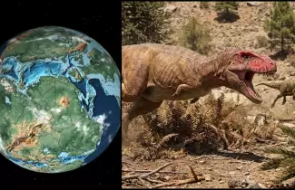 Guemesia