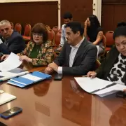 La Comisión de Cultura y Turismo de la Legislatura repudió los dichos agraviantes hacia Mercedes Sosa