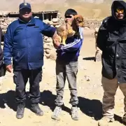 Encontraron sano y salvo a un niño que se había perdido en la Puna jujeña