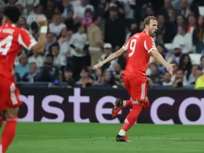 bayern m�nich