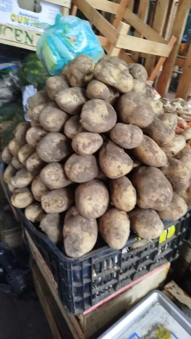papa