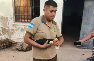 tucan