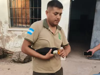 tucan
