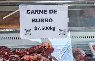 carne de burro