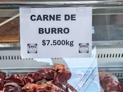 carne de burro