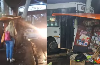 colectivo