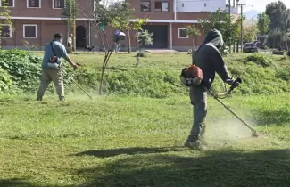 desmalezado jujuy