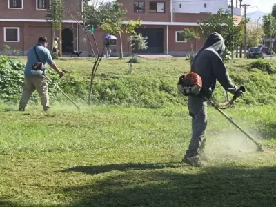 desmalezado jujuy