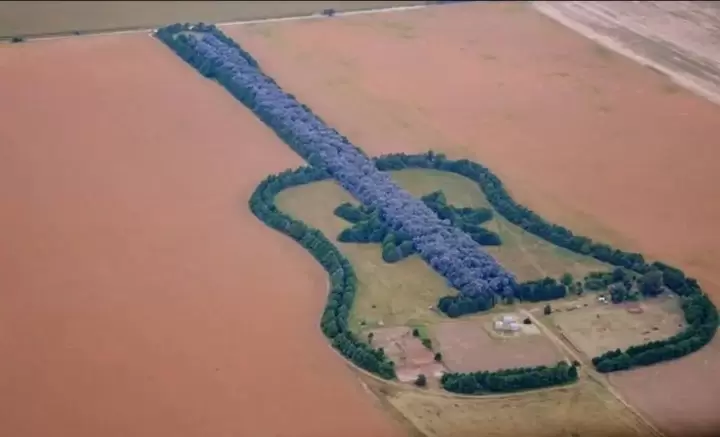 guitarra de arboles