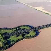 Por amor a su mujer creó una gigantesca Guitarra de Árboles