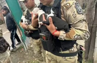 rescate animal en salta