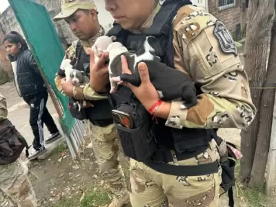 rescate animal en salta