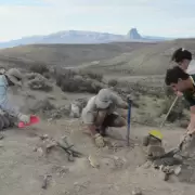 Encontraron en Chubut una nueva especie de dinosaurio que vivió hace 160 millones de años