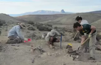 descubrimiento en chubut