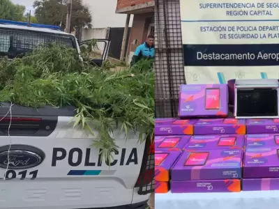 hallan 31 tablets oficiales y marihuana en la casa de un empleado publico de educacion
