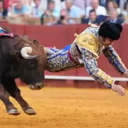 Qu� pas� con Clandestino: el toro que hiri� de gravedad a Morante de la Puebla en Espa�a