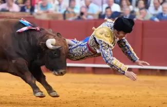 Qu� pas� con Clandestino: el toro que hiri� de gravedad a Morante de la Puebla en Espa�a
