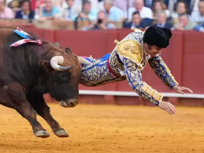 Qu� pas� con Clandestino: el toro que hiri� de gravedad a Morante de la Puebla en Espa�a