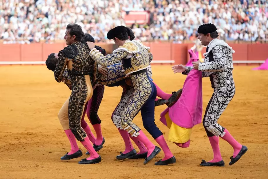 toreo espa�a