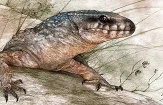 Reptil del cret�cico tard�o hallado en R�o Negro