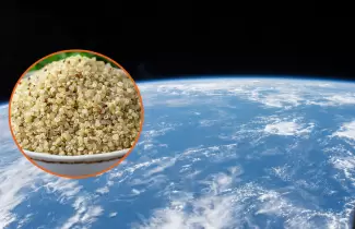 quinoa al espacio