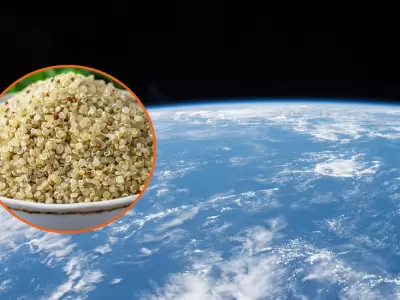 quinoa al espacio