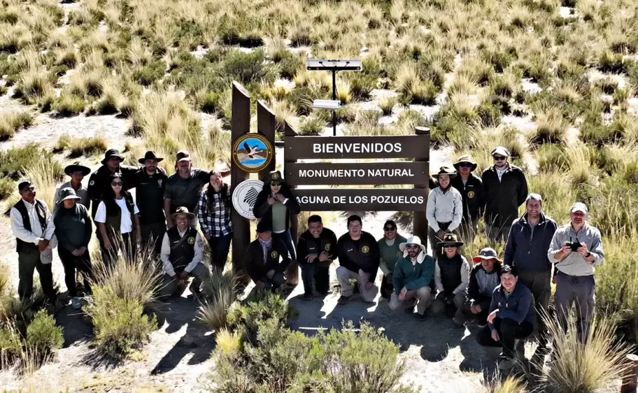 monitoreo de vicuñas y suris en pozuelos