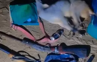 El Piquete: detuvieron a cuatro cazadores con armas y fauna silvestre