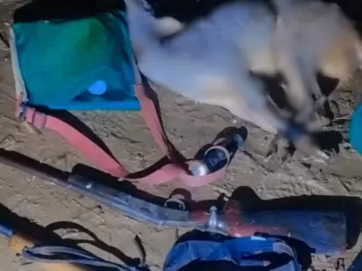 El Piquete: detuvieron a cuatro cazadores con armas y fauna silvestre