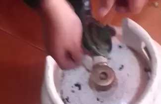 garrafa procedimiento