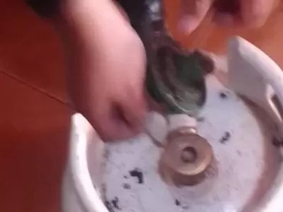 garrafa procedimiento
