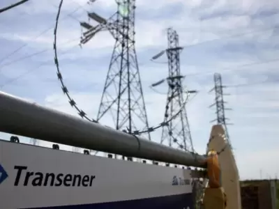 Avanza la privatizaci�n de Transener