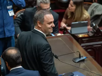 adorni manuel, milei