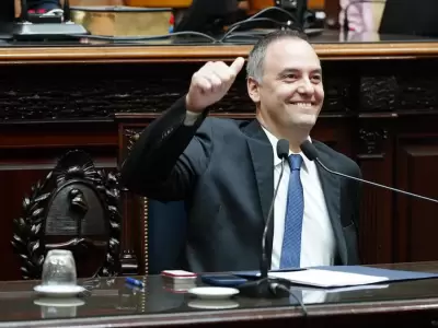 Adorni en el Congreso