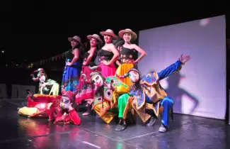 fiesta de la danza