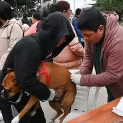 Conoc� el cronograma semanal de vacunaci�n antirrabica en la capital juje�a