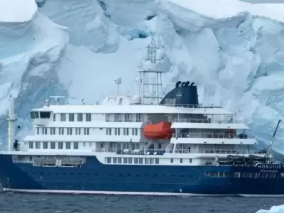 crucero