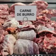 Advierten que la carne de burro no est� habilitada para consumo en Argentina