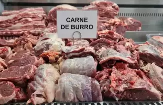 carne de burro