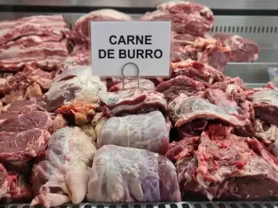 carne de burro