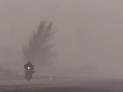 viento zonda